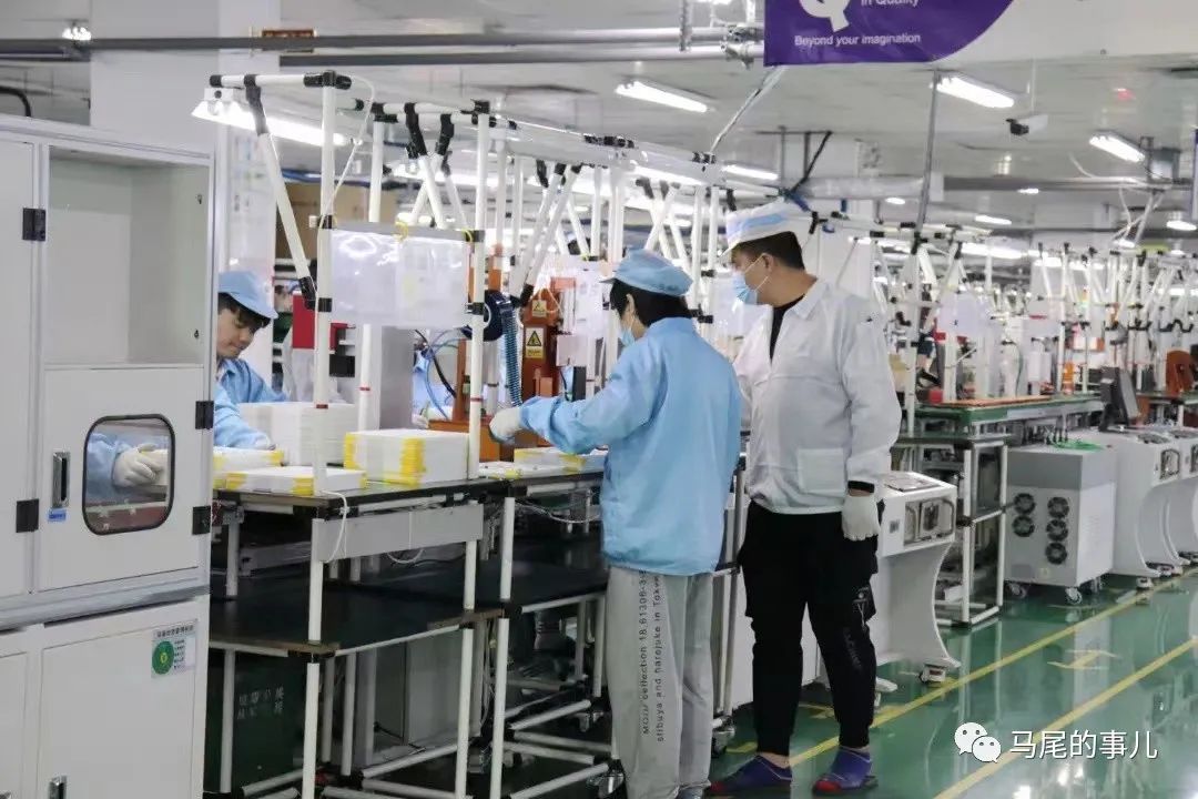 春风吹来“税动力” 惠企便民暖马江